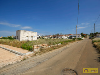 foto immobile Lotti di terreno edificabili con Ville vista mare a Pescoluse  n. 20