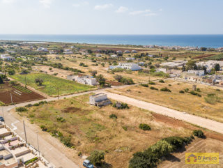 foto immobile Lotti di terreno edificabili a 800 metri dalla spiaggia di Pescoluse  n. 5