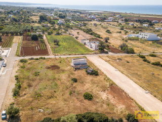foto immobile Lotti di terreno edificabili a 800 metri dalla spiaggia di Pescoluse  n. 6