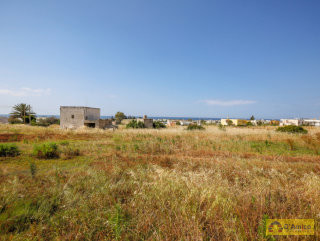 foto immobile Lotti di terreno edificabili a 800 metri dalla spiaggia di Pescoluse  n. 11