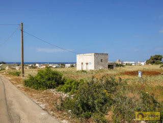 foto immobile Lotti di terreno edificabili a 800 metri dalla spiaggia di Pescoluse  n. 14
