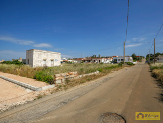 foto immobile Lotti di terreno edificabili a 800 metri dalla spiaggia di Pescoluse  n. 17