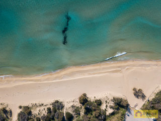 foto immobile Appartamento a piano terra a 100 metri dalla spiaggia n. 13
