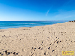 foto immobile Appartamento a piano terra a 100 metri dalla spiaggia n. 10