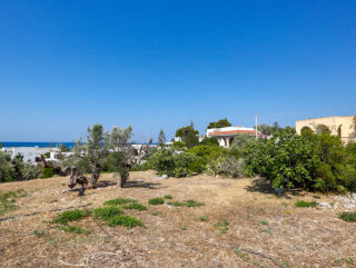 2 Villas with sea view 400 meters from the beach of Pescoluse