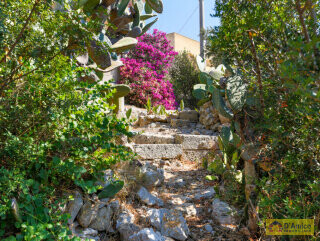 foto immobile 2 Ville vista mare a 400 metri dalla spiaggia di Pescoluse n. 11