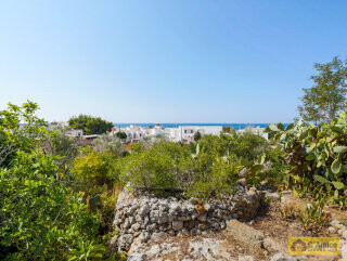 foto immobile 2 Ville vista mare a 400 metri dalla spiaggia di Pescoluse n. 15
