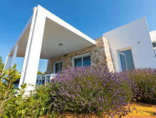 foto immobile Terreno edificabile a Torre Vado per Villa con Piscina a 1 km dalla spiaggia  n. 28
