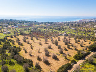 foto immobile Terreno edificabile a Torre Vado per Villa con Piscina a 1 km dalla spiaggia  n. 2