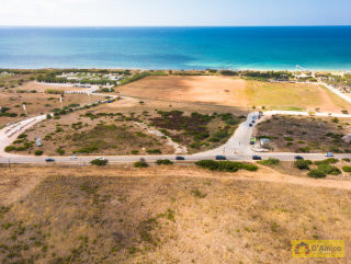 foto immobile Vendita due terreni edificabili per Ville con Piscina a 500 metri dal mare. n. 10