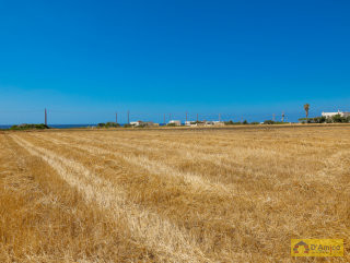 foto immobile Vendita due terreni edificabili per Ville con Piscina a 500 metri dal mare. n. 16