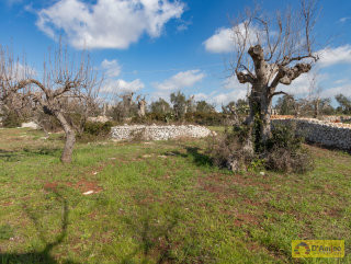 foto immobile Terreno con Lamione e progetto per Villa con Piscina a 5 km da Pescoluse n. 37