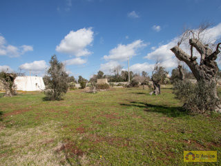 foto immobile Terreno con Lamione e progetto per Villa con Piscina a 5 km da Pescoluse n. 34