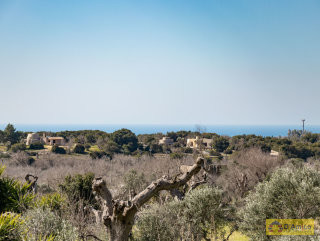 foto immobile Terreno con Lamione e progetto per Villa con Piscina a 5 km da Pescoluse n. 22