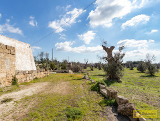 foto immobile Terreno con Lamione e progetto per Villa con Piscina a 5 km da Pescoluse n. 19