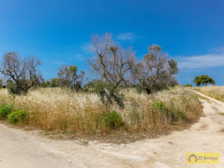 foto immobile Terreno vista mare con fabbricato rurale e progetto per Villa  n. 30