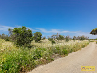 foto immobile Terreno vista mare con fabbricato rurale e progetto per Villa  n. 38