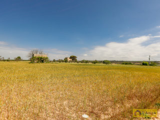 foto immobile Terreno vista mare con fabbricato rurale e progetto per Villa  n. 22