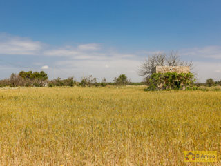 foto immobile Terreno vista mare con fabbricato rurale e progetto per Villa  n. 25