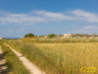 foto immobile Terreno vista mare con fabbricato rurale e progetto per Villa  n. 23