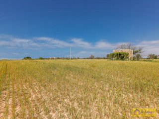 foto immobile Terreno vista mare con fabbricato rurale e progetto per Villa  n. 20