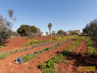 foto immobile Villa con Trullo vista mare a Salve, a 4 km da Pescoluse n. 52