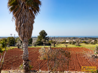 foto immobile Villa con Trullo vista mare a Salve, a 4 km da Pescoluse n. 41
