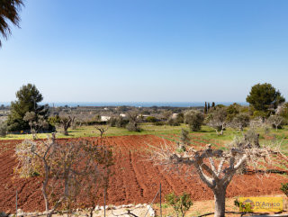 foto immobile Villa con Trullo vista mare a Salve, a 4 km da Pescoluse n. 42