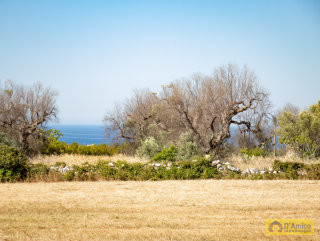 foto immobile Villa e Piscina vista mare, da realizzare chiavi in mano, a 4 km dalla spiaggia n. 15