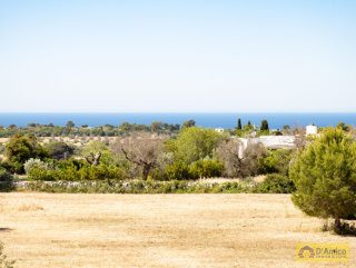 foto immobile Terreno per Villa con Piscina vista mare con 2 fabbricati rurali, a 4km da Pescoluse n. 19