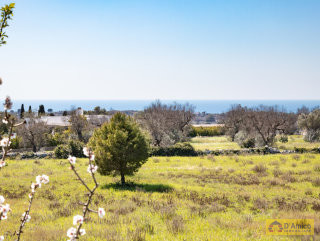 foto immobile Villa e Piscina vista mare, da realizzare chiavi in mano, a 4 km dalla spiaggia n. 21