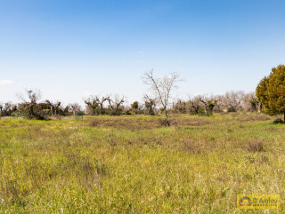 foto immobile Villa e Piscina vista mare, da realizzare chiavi in mano, a 4 km dalla spiaggia n. 24