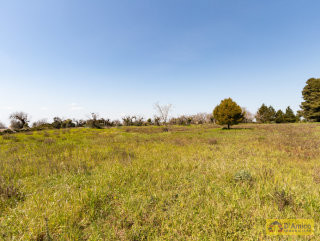 foto immobile Villa e Piscina vista mare, da realizzare chiavi in mano, a 4 km dalla spiaggia n. 25