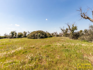 foto immobile Villa e Piscina vista mare, da realizzare chiavi in mano, a 4 km dalla spiaggia n. 26