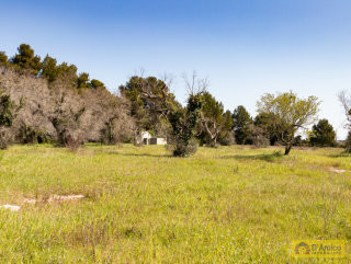 foto immobile Villa e Piscina vista mare, da realizzare chiavi in mano, a 4 km dalla spiaggia n. 29