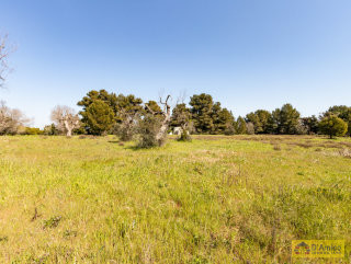 foto immobile Villa e Piscina vista mare, da realizzare chiavi in mano, a 4 km dalla spiaggia n. 32