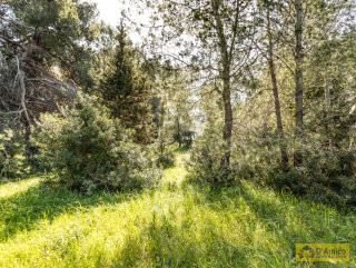 foto immobile Villa e Piscina vista mare, da realizzare chiavi in mano, a 4 km dalla spiaggia n. 38
