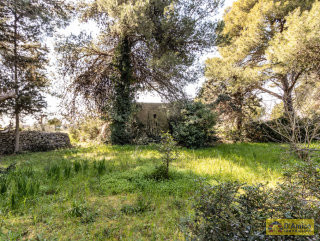 foto immobile Villa e Piscina vista mare, da realizzare chiavi in mano, a 4 km dalla spiaggia n. 39