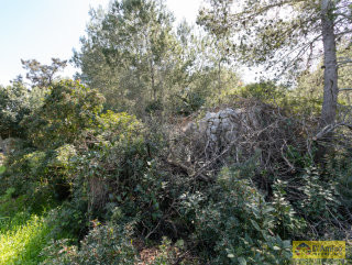 foto immobile Villa e Piscina vista mare, da realizzare chiavi in mano, a 4 km dalla spiaggia n. 40