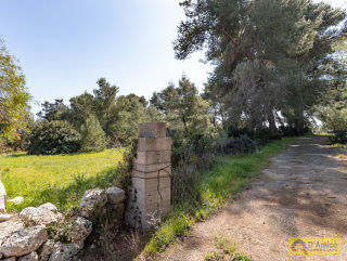 foto immobile Villa e Piscina vista mare, da realizzare chiavi in mano, a 4 km dalla spiaggia n. 42