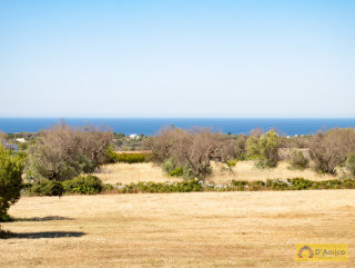 foto immobile Terreno per Villa con Piscina vista mare con 2 fabbricati rurali, a 4km da Pescoluse n. 23