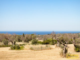 foto immobile Terreno per Villa con Piscina vista mare con 2 fabbricati rurali, a 4km da Pescoluse n. 24