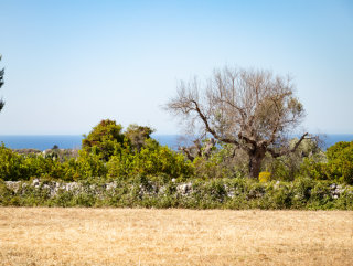 Terreno vista mare per Villa con Piscina a Salve, a 4km da Pescoluse