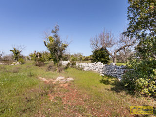 foto immobile Terreno vista mare per Villa con Piscina a Salve, a 4km da Pescoluse   n. 39