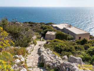 foto immobile Villa con Piscina affacciata sul mare Adriatico, tra Santa Maria di Leuca e il Ciolo n. 6