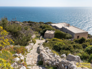 foto immobile Villa con Piscina affacciata sul mare Adriatico, tra Santa Maria di Leuca e il Ciolo n. 7