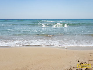 foto immobile Terreno fronte spiaggia per Stabilimento Balneare a Pescoluse n. 23