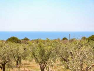  Sea view land for sale with rural house, Pajara and project for Villa with Pool