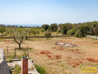 foto immobile Terreno vista mare  con casa rurale,Pajara e progetto per Villa con Piscina n. 32