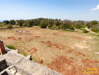 foto immobile Terreno vista mare  con casa rurale,Pajara e progetto per Villa con Piscina n. 26